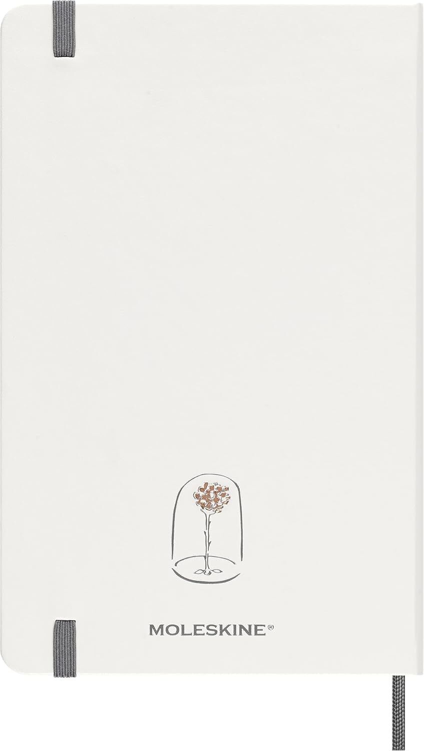 Moleskine Limited Edition Le Petit Prince, Bundle Planner & Notebook, Large,